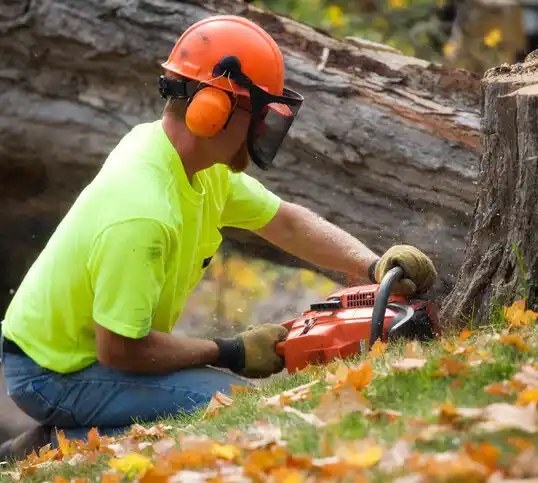 tree services Capitan